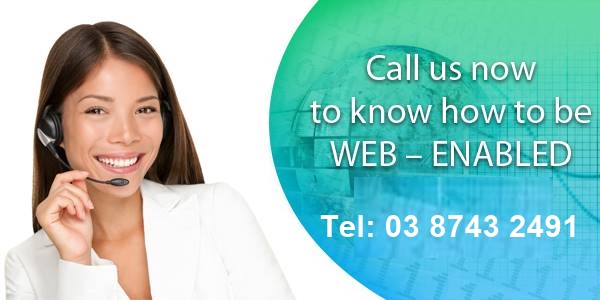 Small Biz Go Web call